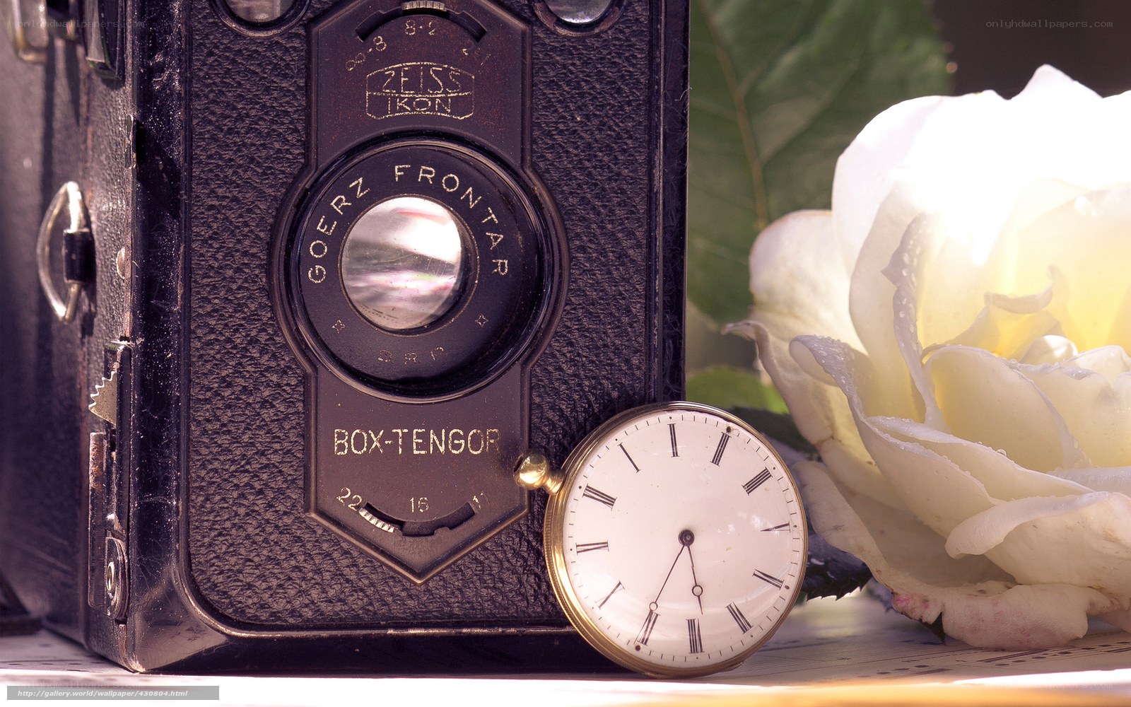 Vintage camera with rose and pocket watch
