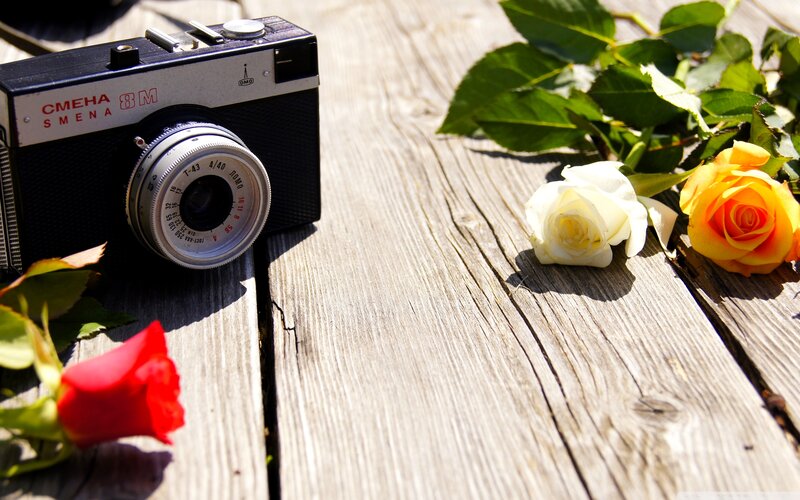 Vintage Camera with Roses — Brown