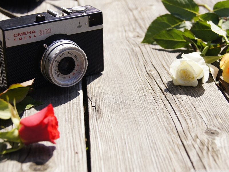 vintage camera with roses