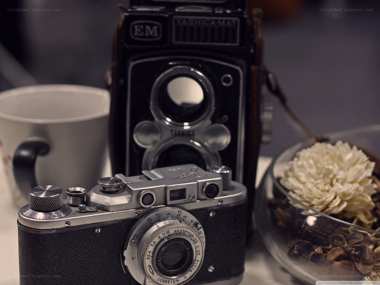 vintage cameras and coffee cup