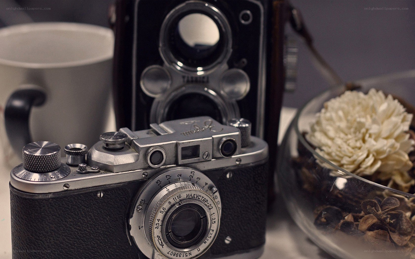 Vintage cameras and flowers