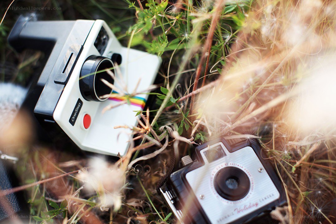 Vintage cameras in grass