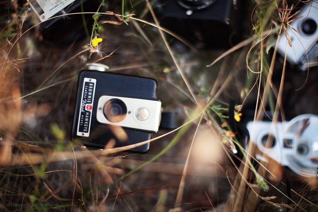 Vintage cameras in grass