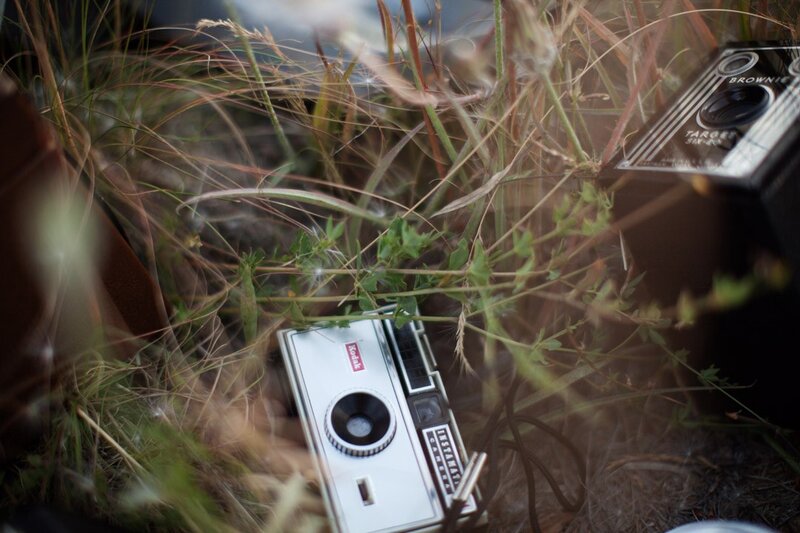 Vintage Cameras in Grass — Green
