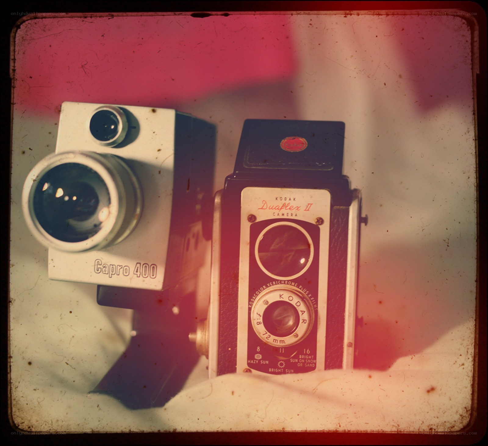 vintage cameras on display