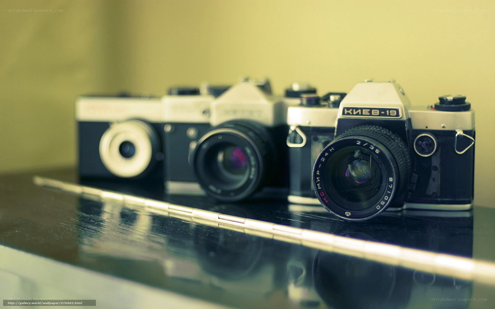 vintage cameras on display
