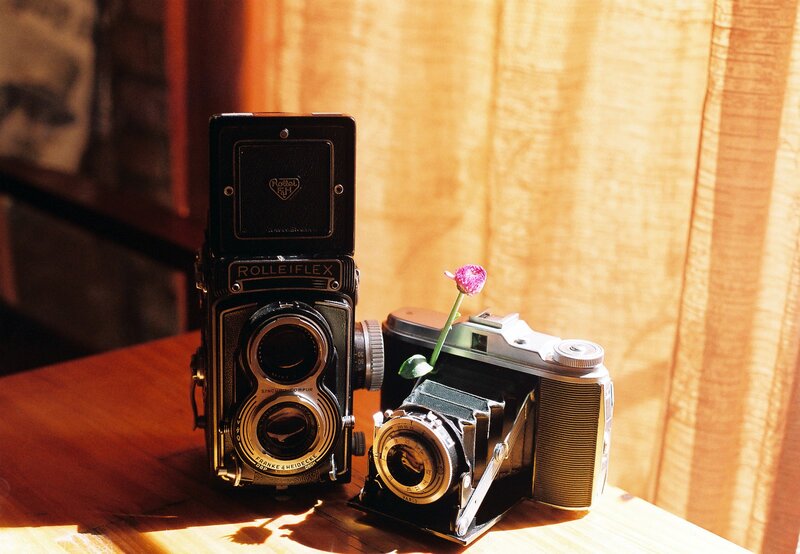 Vintage cameras with a flower