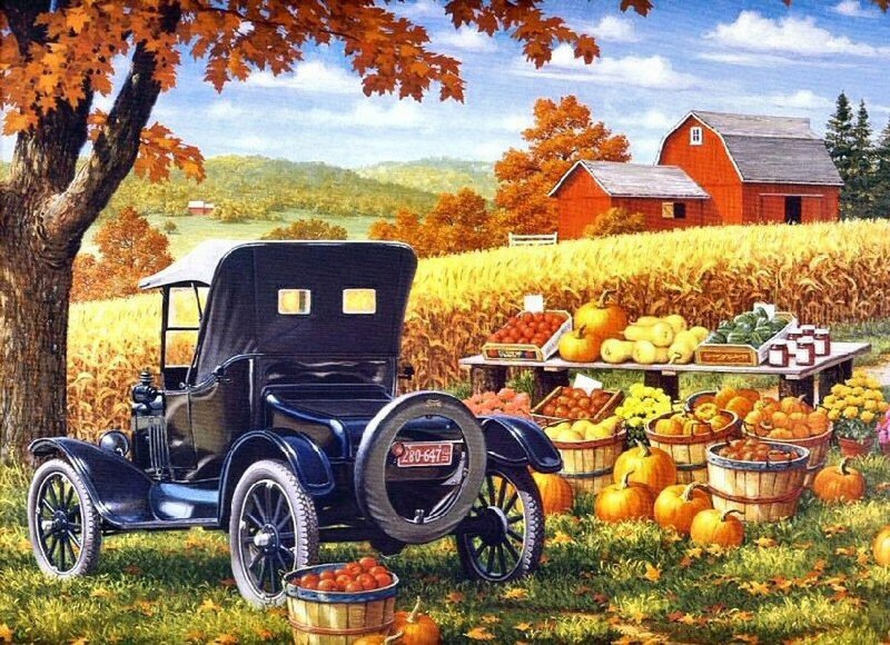 Vintage Car at Harvest