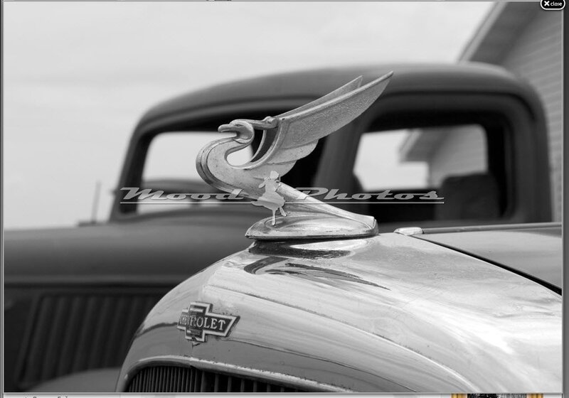 Vintage Car Hood Ornament