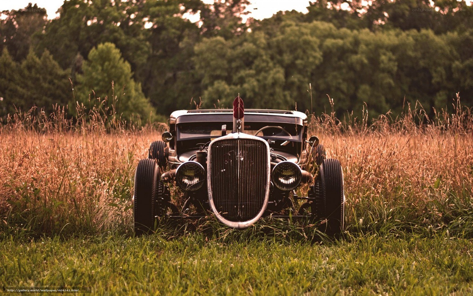 vintage car in a field