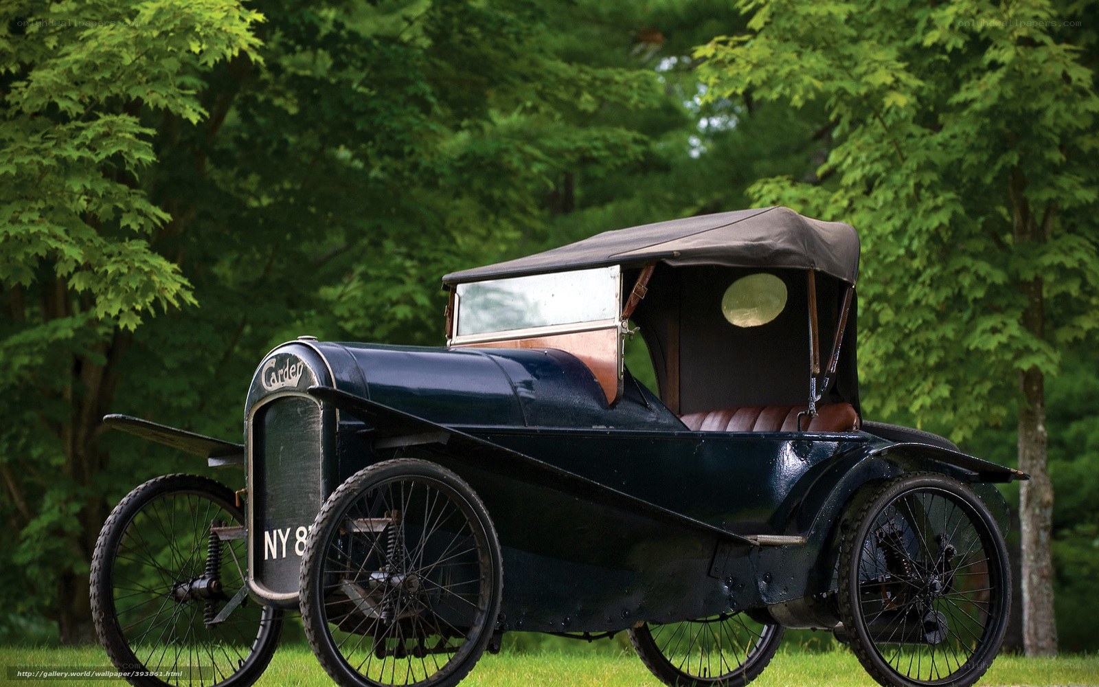 vintage car in a park