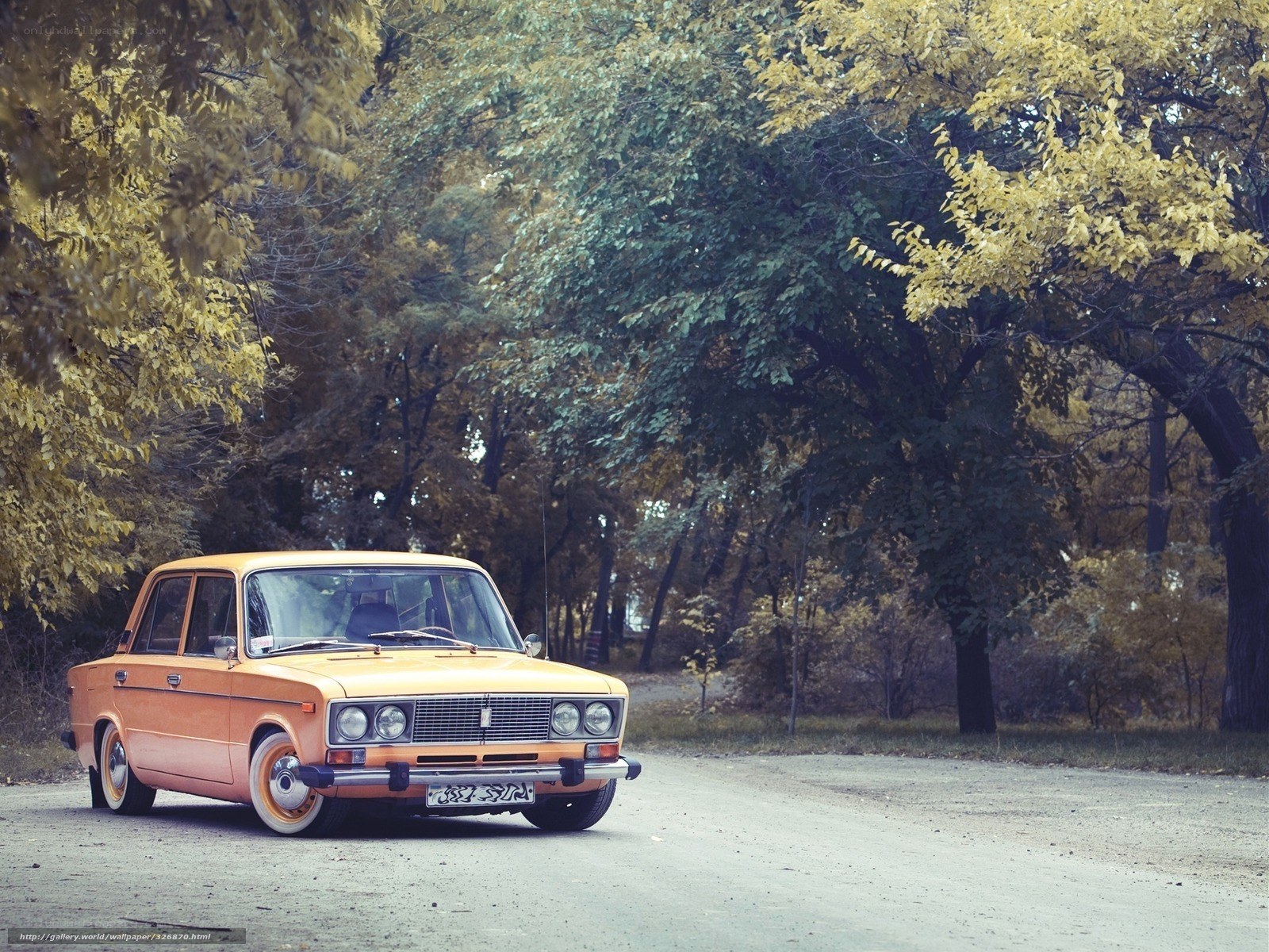 Vintage car in autumn forest
