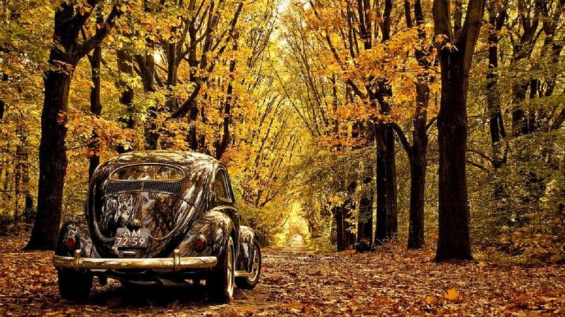 Vintage Car in Forest — Yellow
