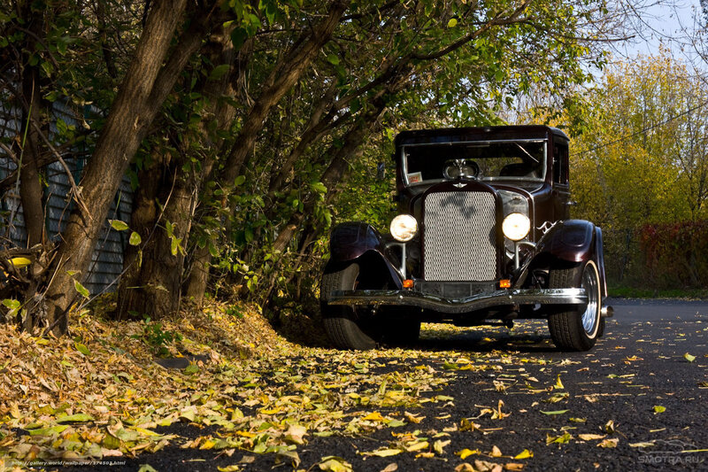 Vintage car on autumn road