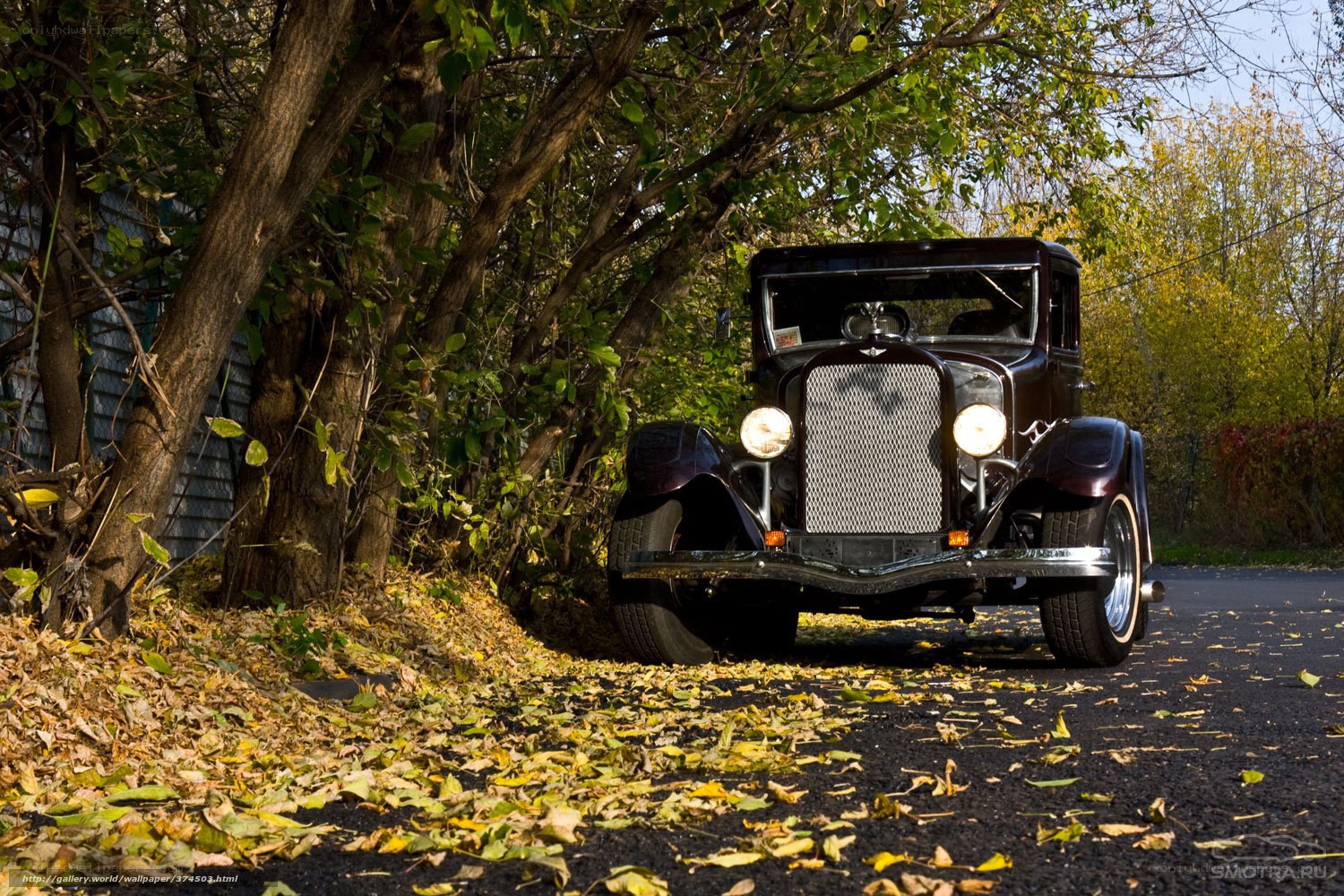 Vintage car on autumn road