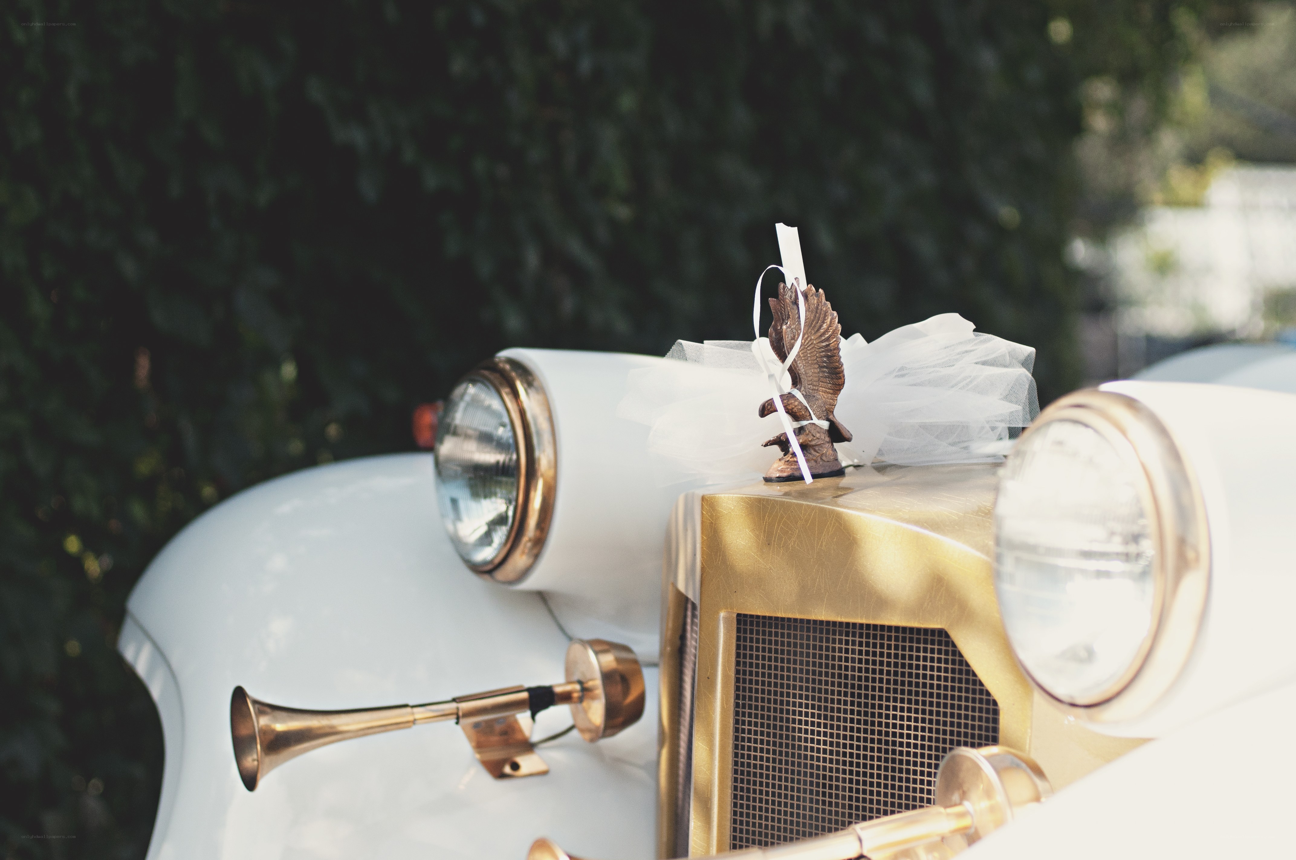 Vintage car with eagle ornament