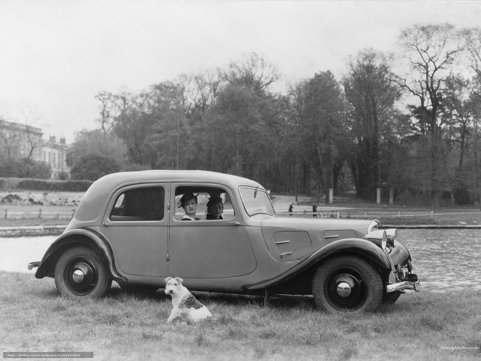 Vintage car with passengers and dog