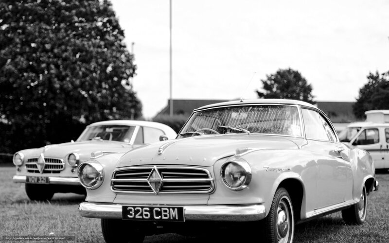 Vintage Cars at Show — Black