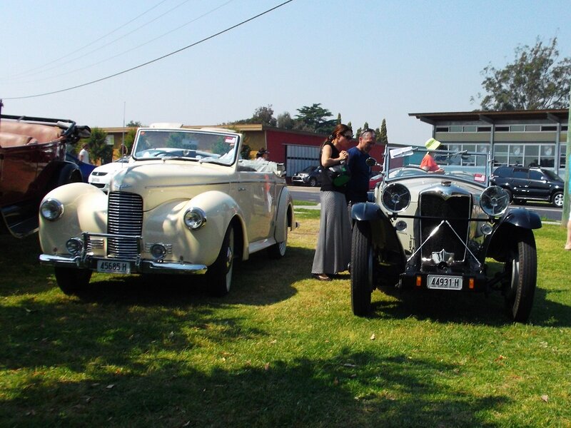 Vintage Cars on Grass — Green
