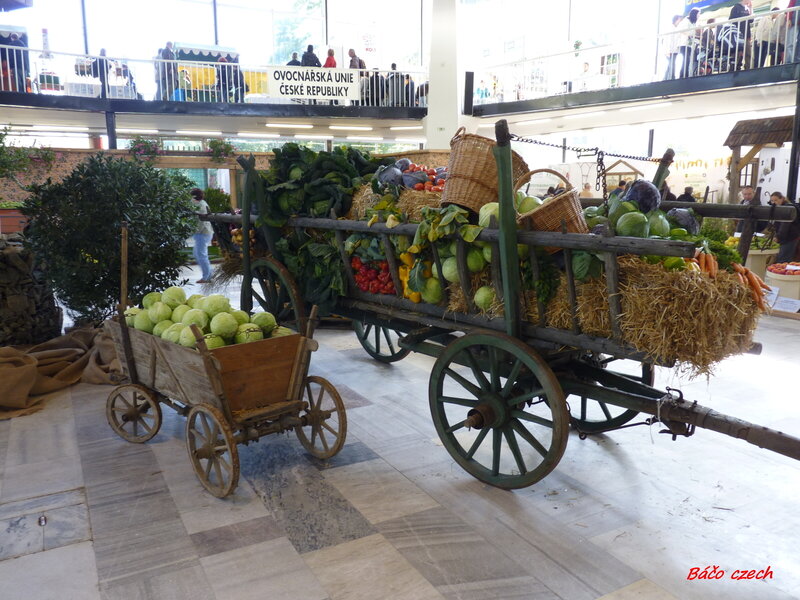Vintage Carts with Vegetables