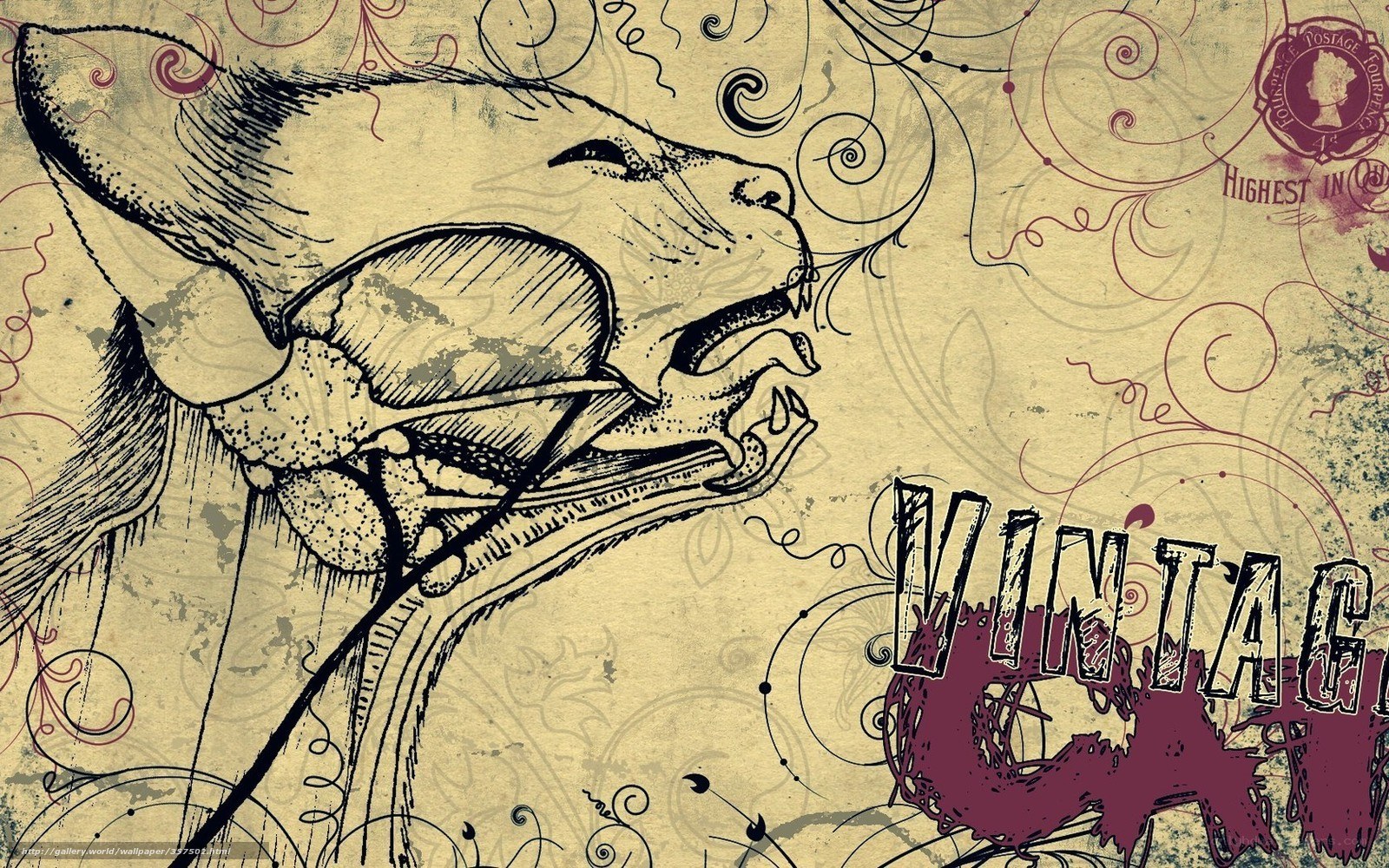 vintage cat illustration