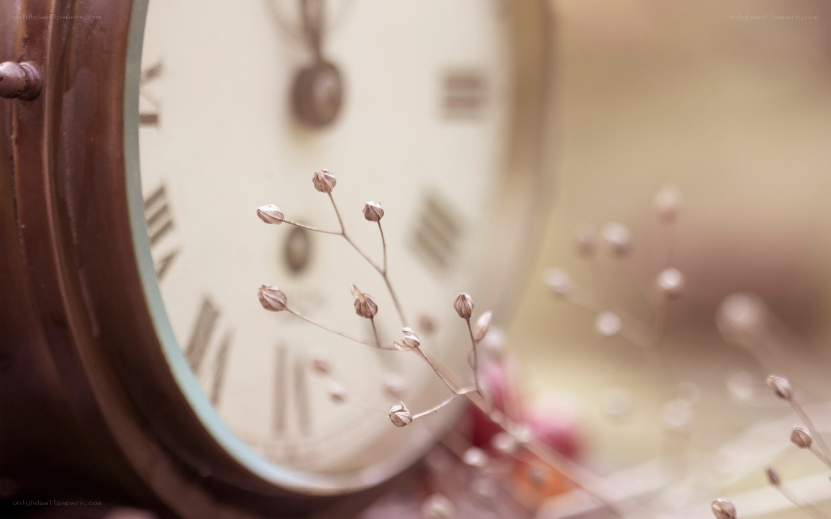 Vintage clock with dried flowers