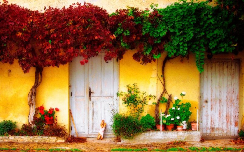 Vintage Door with Vines