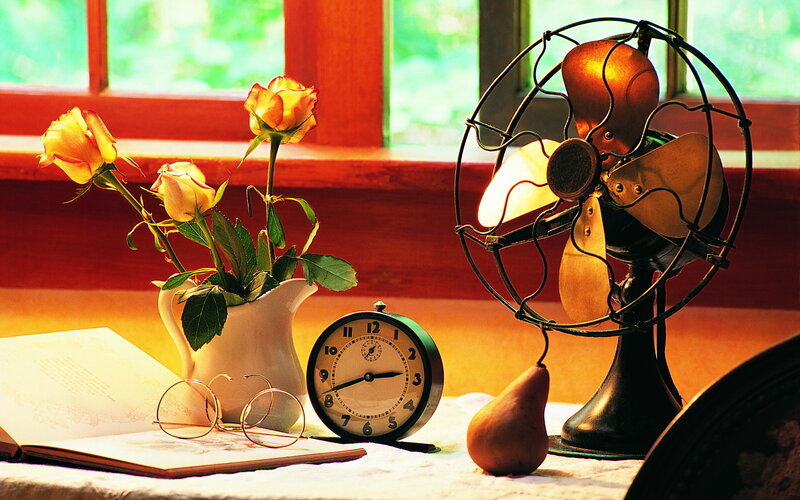 Vintage Fan with Flowers