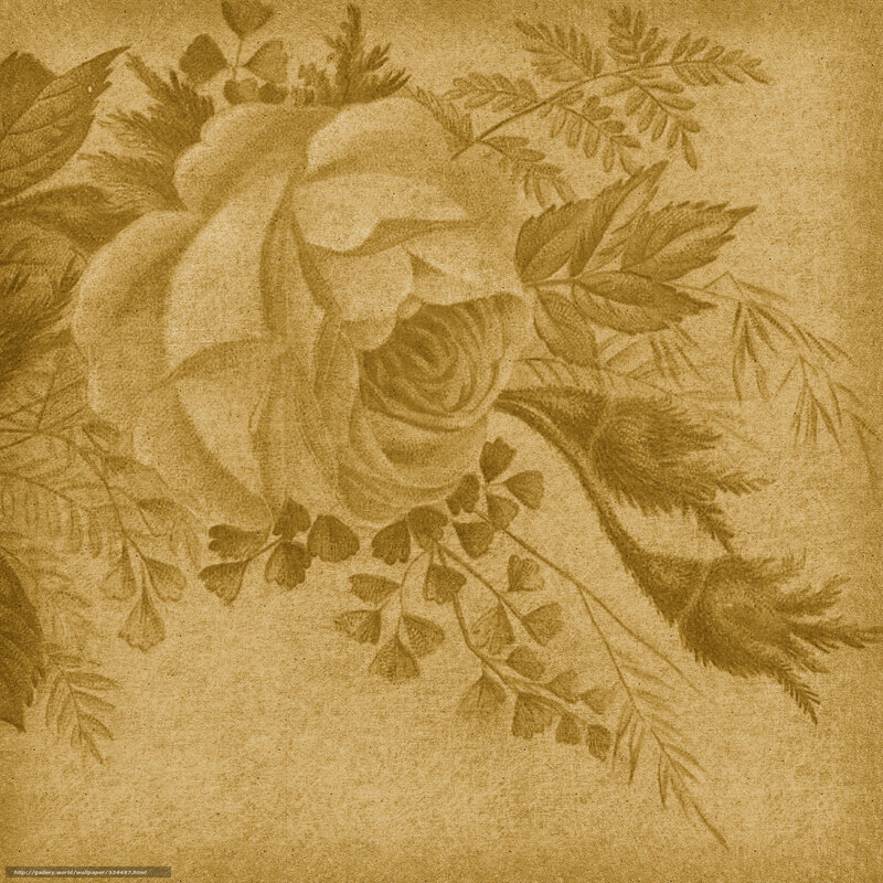 vintage floral illustration