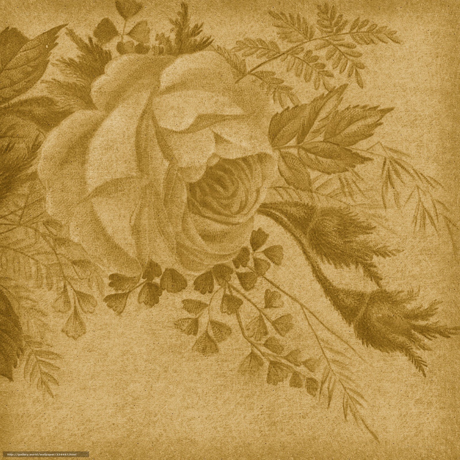 vintage floral illustration