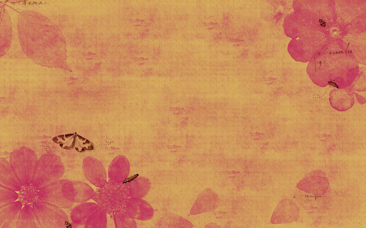 vintage floral pattern with insects