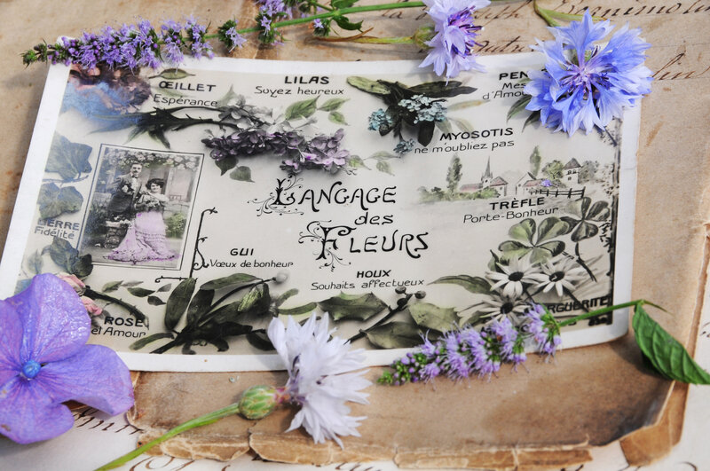 Vintage Flower Language Card
