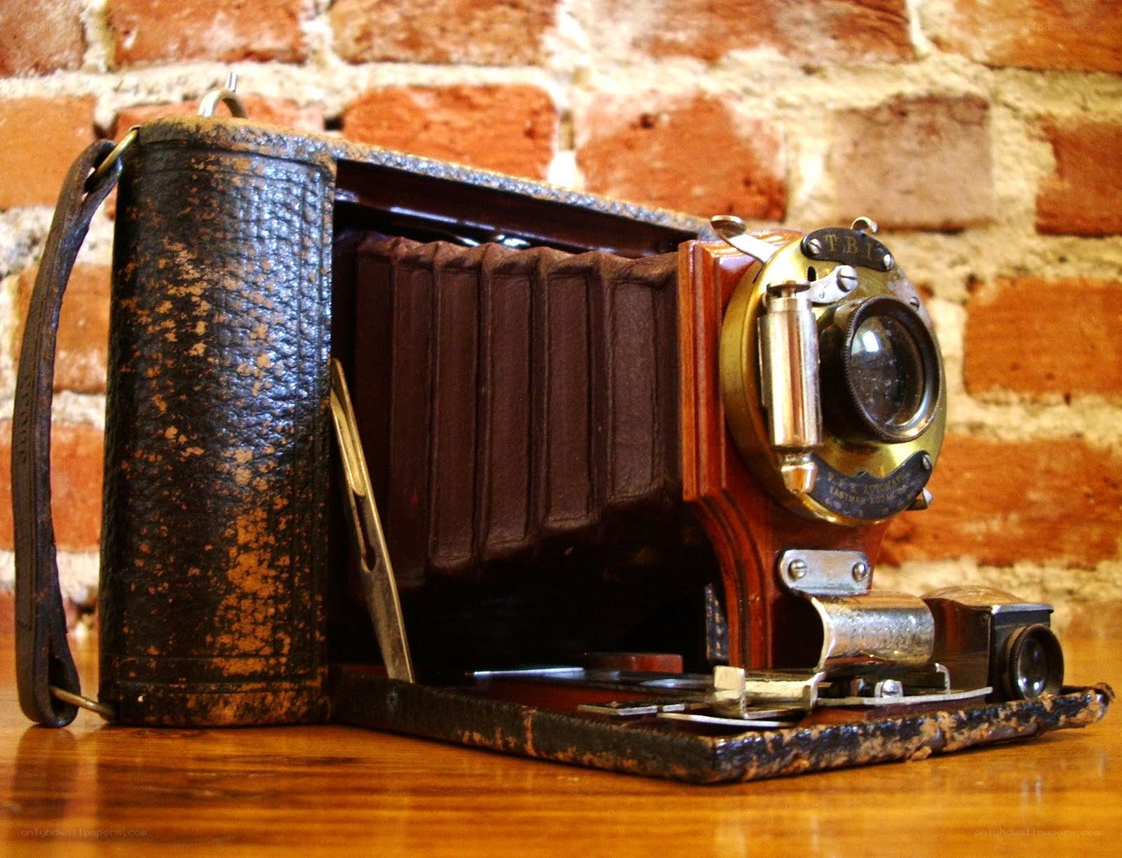 vintage folding camera