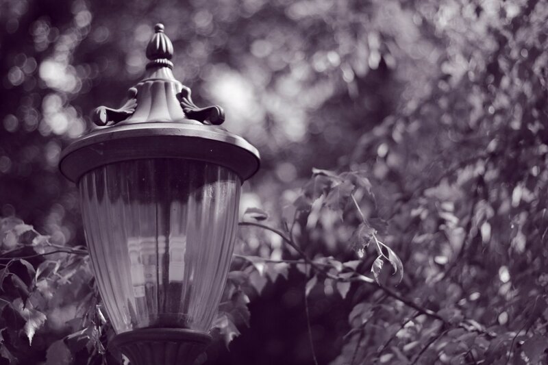 vintage lamp post in garden