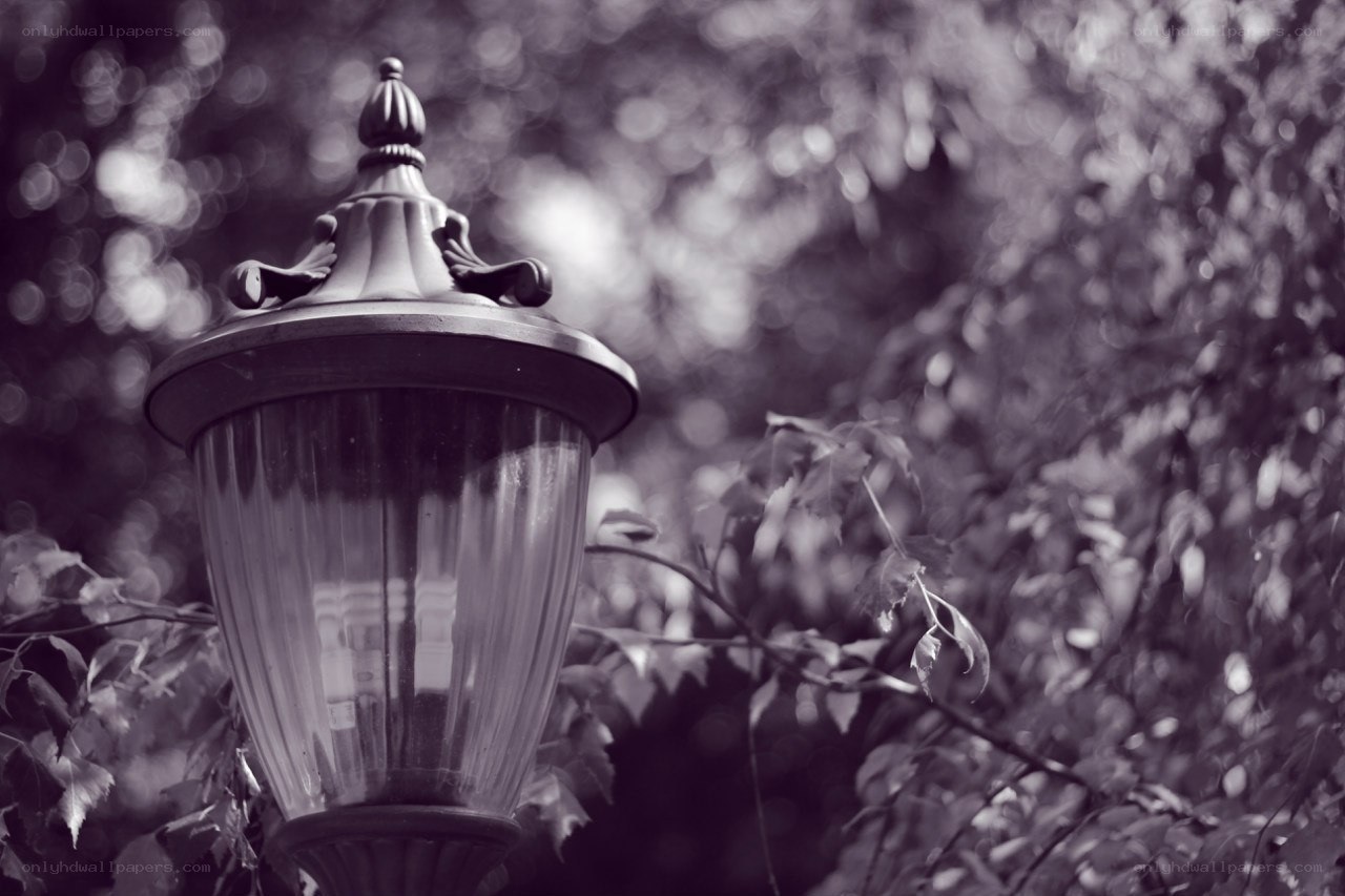 vintage lamp post in garden