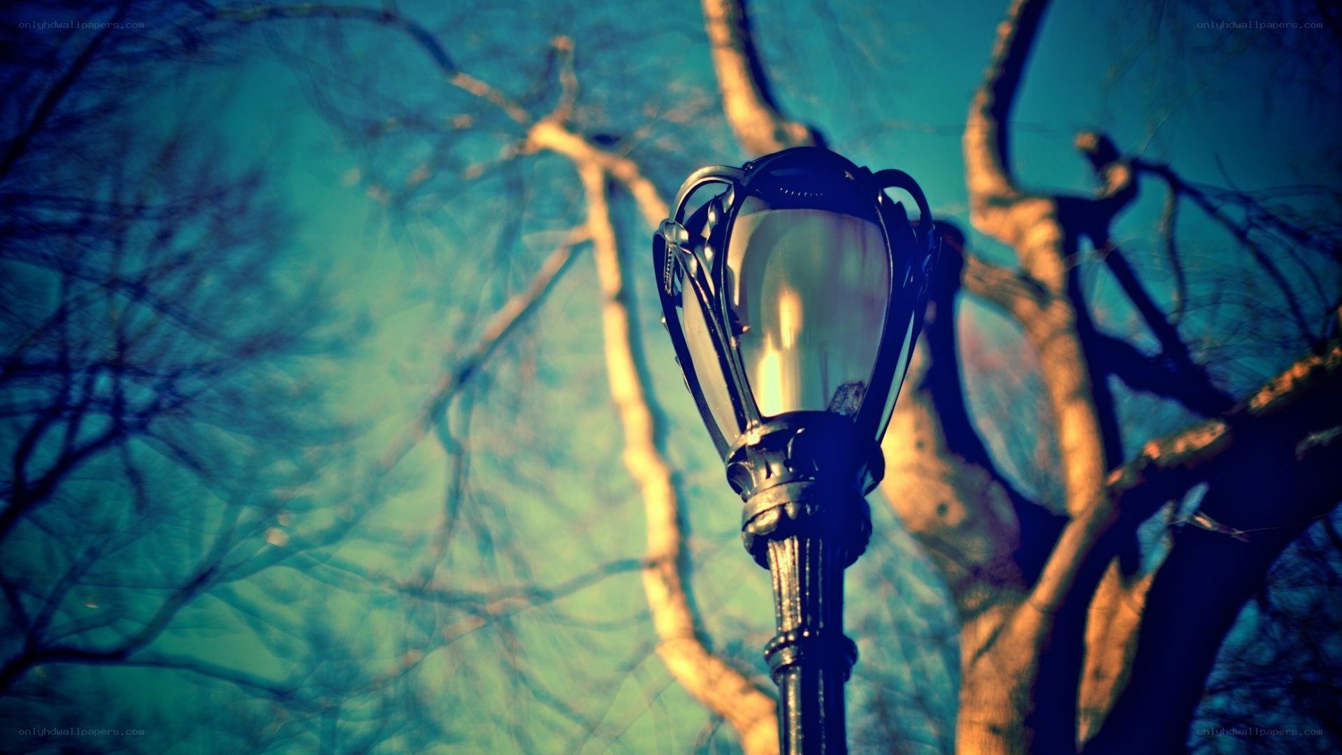 vintage lamp post in park