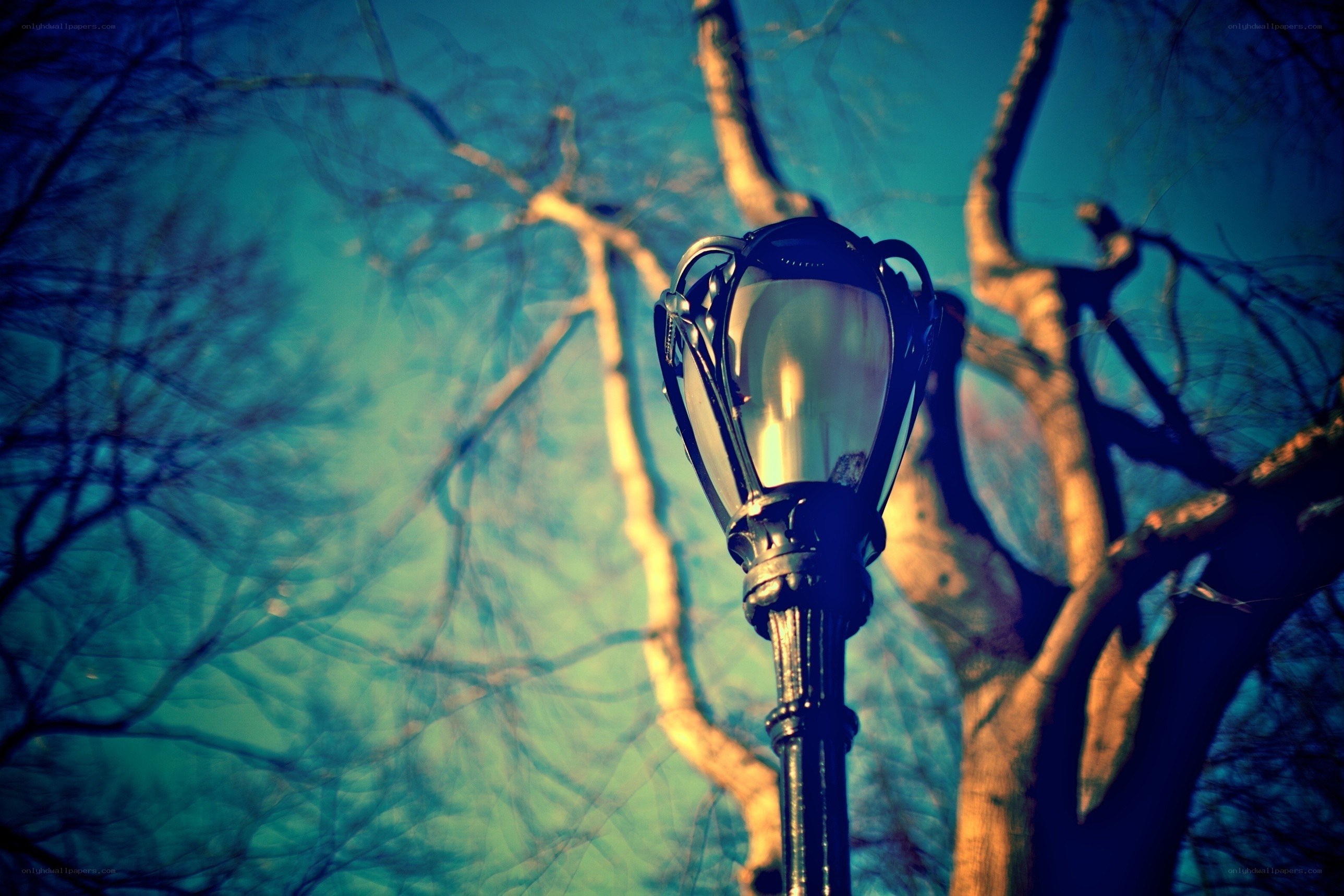 vintage lamp post in park