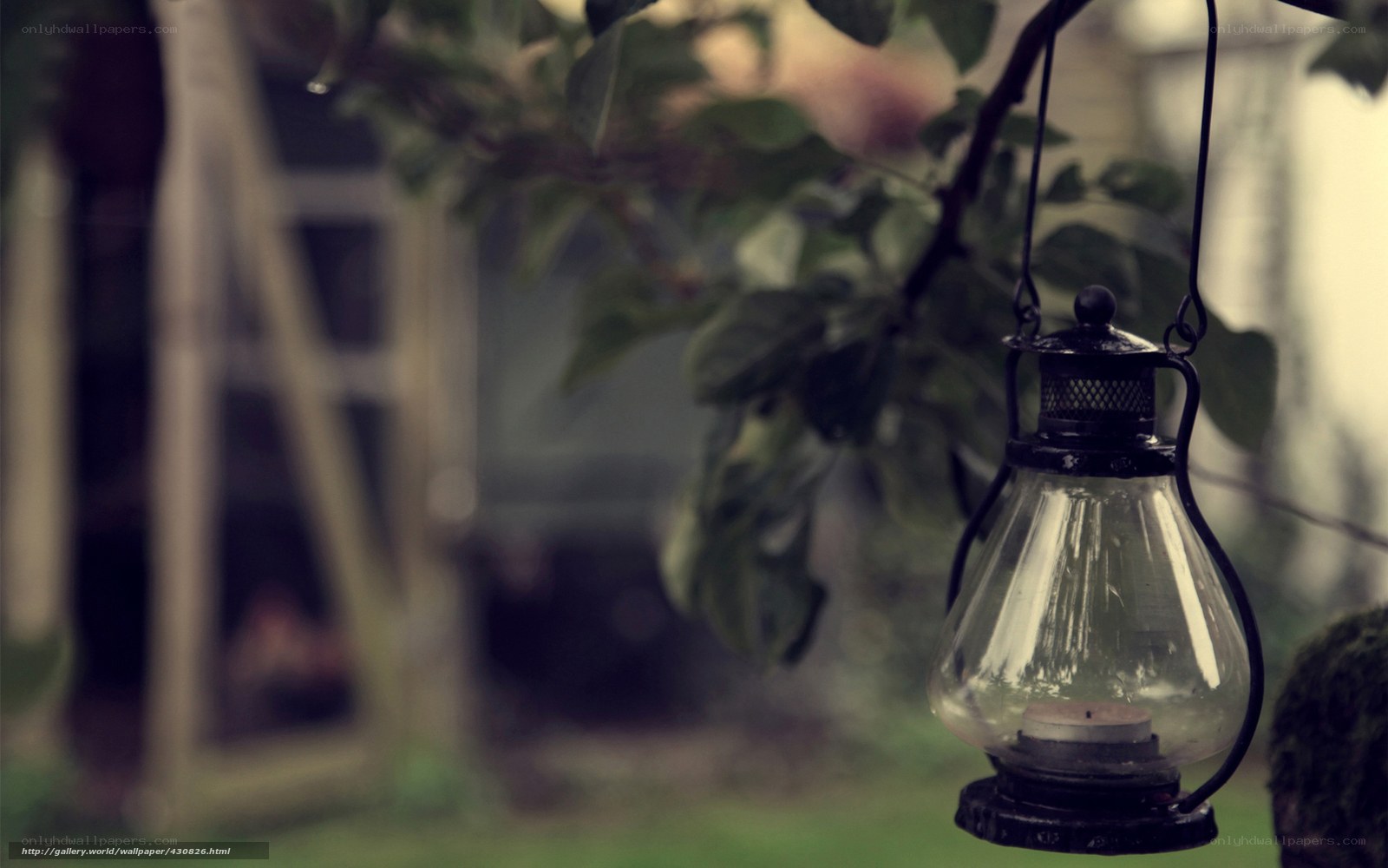 Vintage lantern in garden