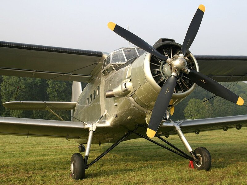 Vintage military aircraft on grass