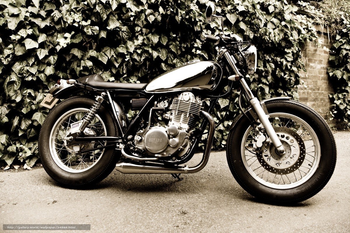vintage motorcycle against ivy wall