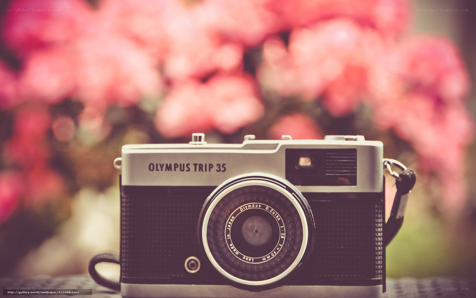 vintage olympus trip 35 camera