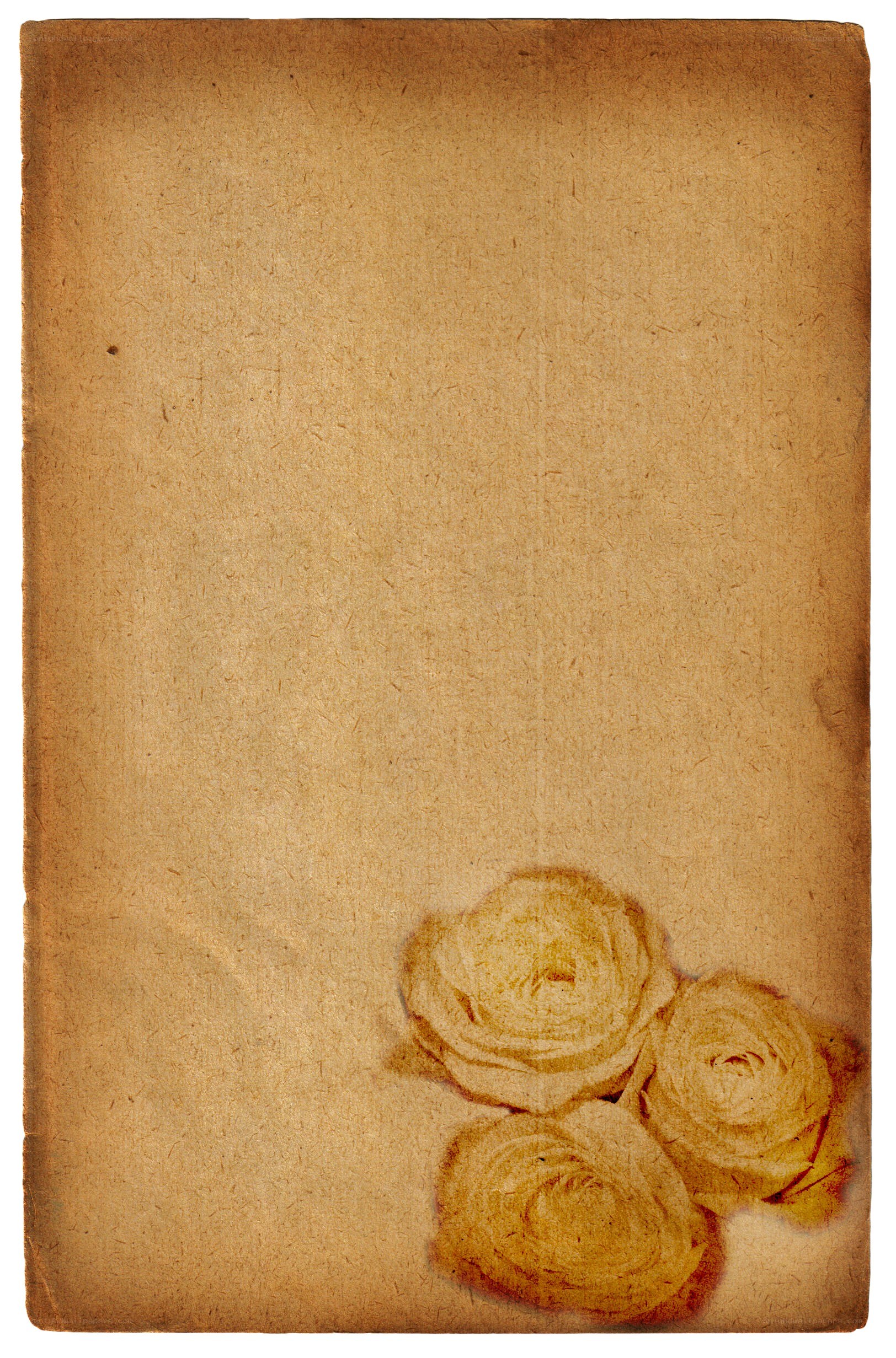 vintage paper with roses