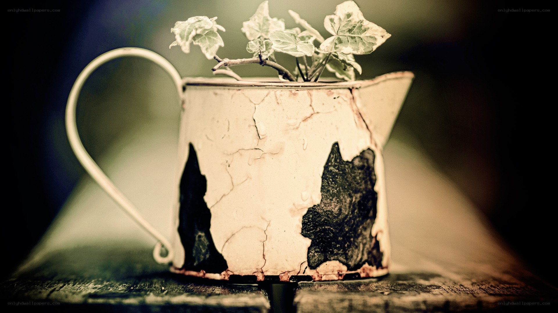 vintage pitcher with plant