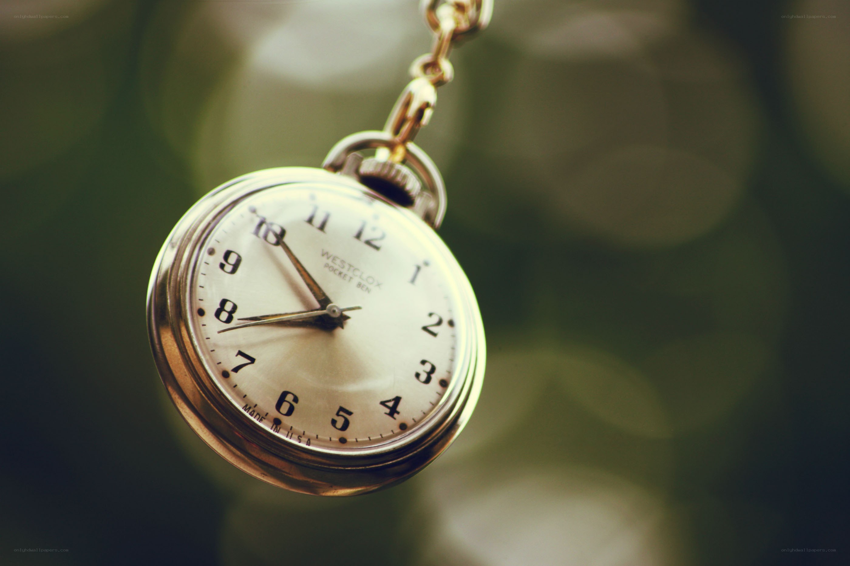 vintage pocket watch