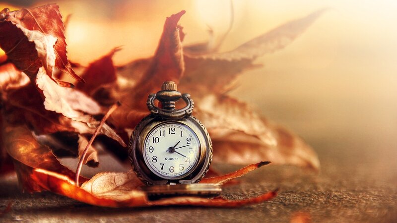 vintage pocket watch among autumn leaves