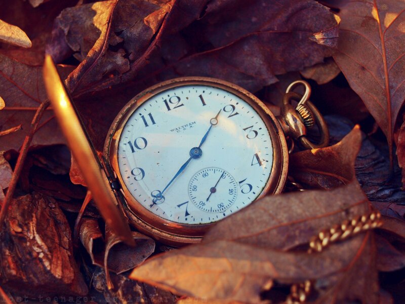 Vintage Pocket Watch — Brown, Dramatic