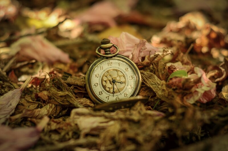 Vintage Pocket Watch — Brown, Melancholic
