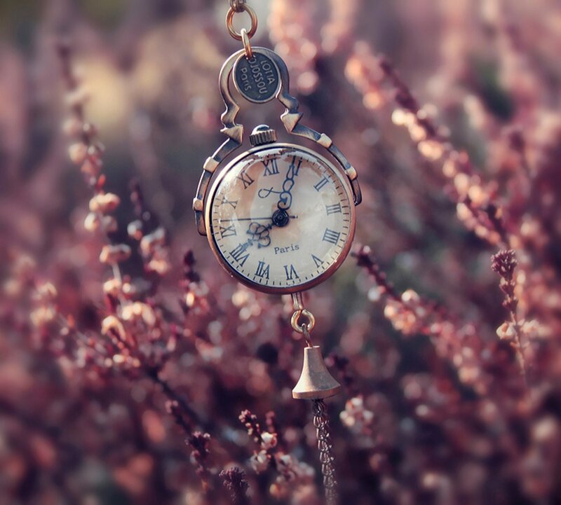 Vintage Pocket Watch — Brown, Serene