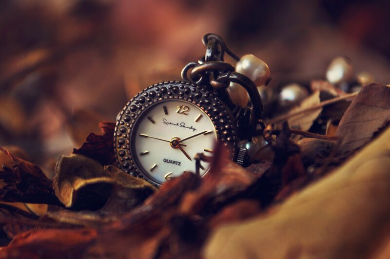 vintage pocket watch in autumn leaves