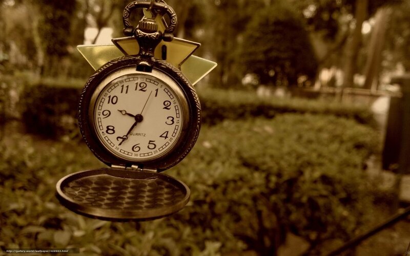 vintage pocket watch in garden